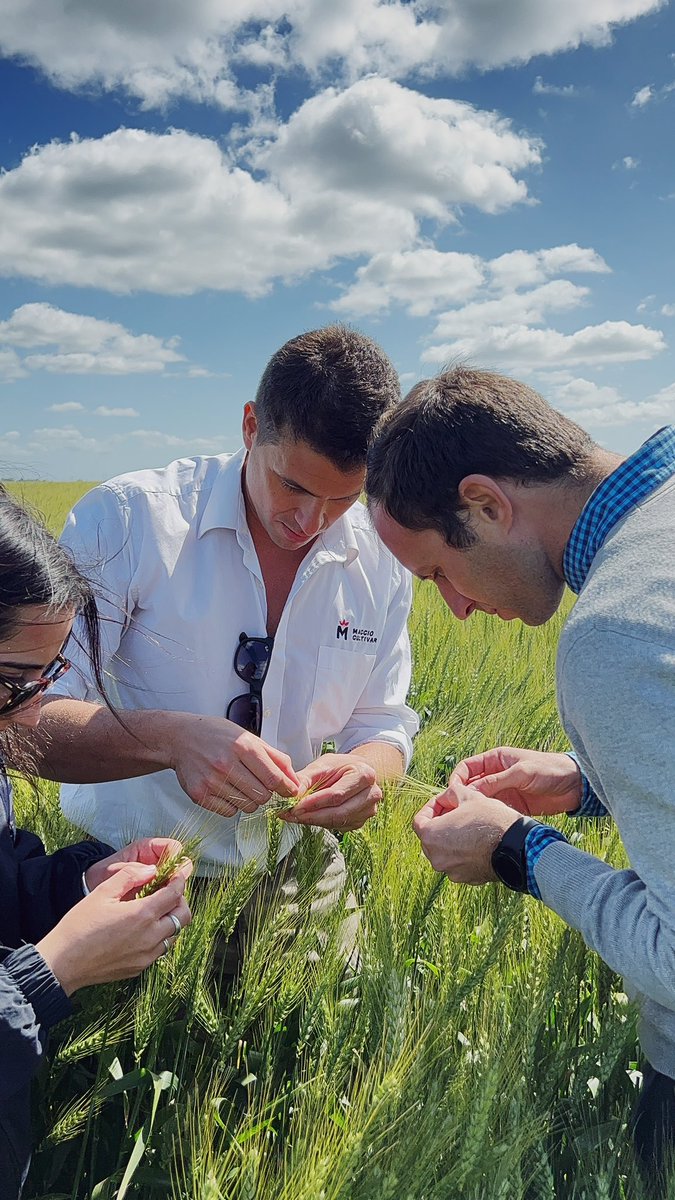 Romina Zunino Macció tweet media