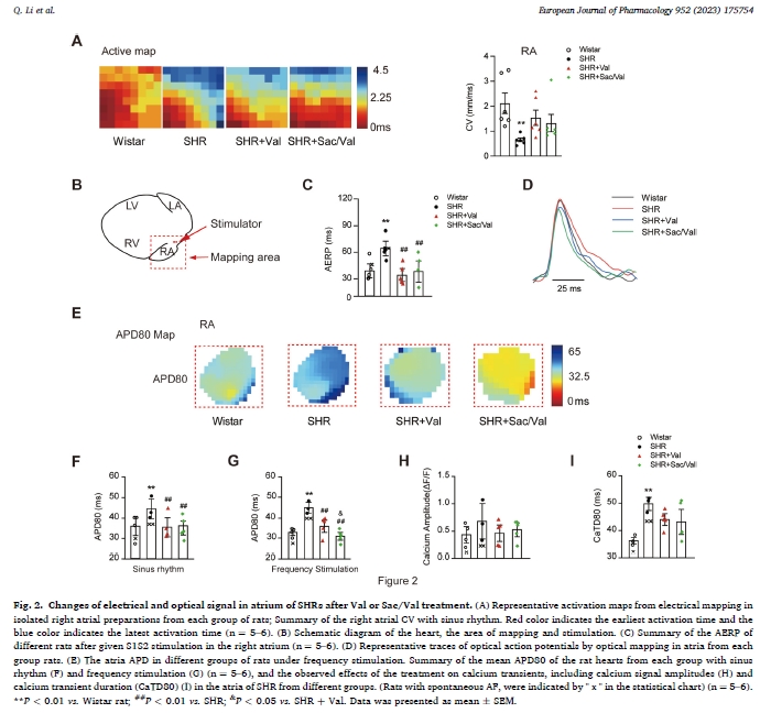 MappingLab tweet media