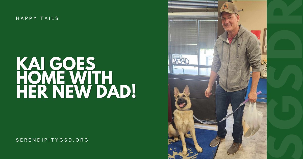Today, we celebrate our beautiful youngster Kai, who went home with her forever dad. Look at these smiles! Happy tails, darling girl. We love you. 😘
💚
#SGSDR #STLDogs #STLDogRescue #GSDRescue #GSDLove