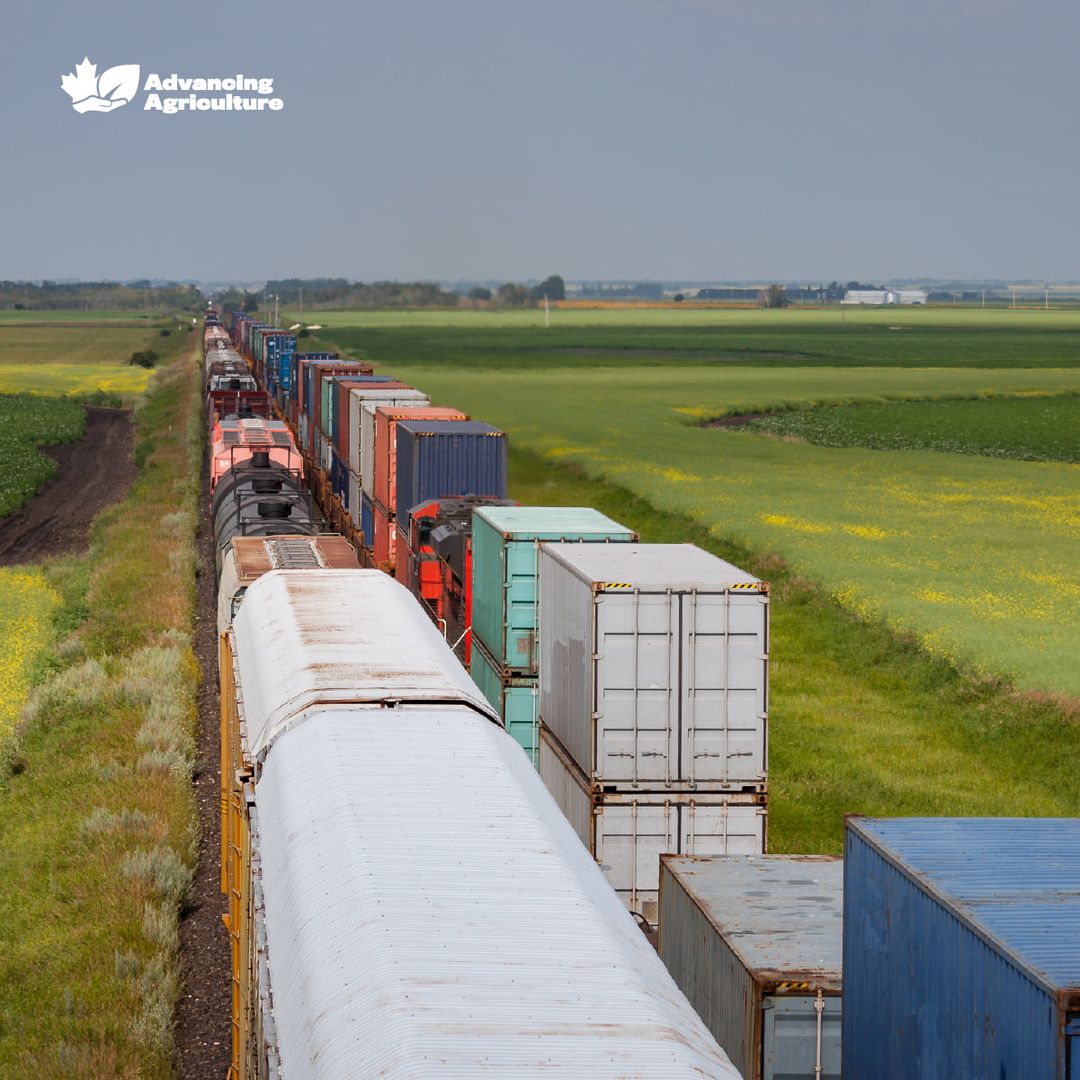 Help Canadian agriculture stay competitive on the global stage by joining us at

advancingagriculture.ca
#AdvancingAgriculture