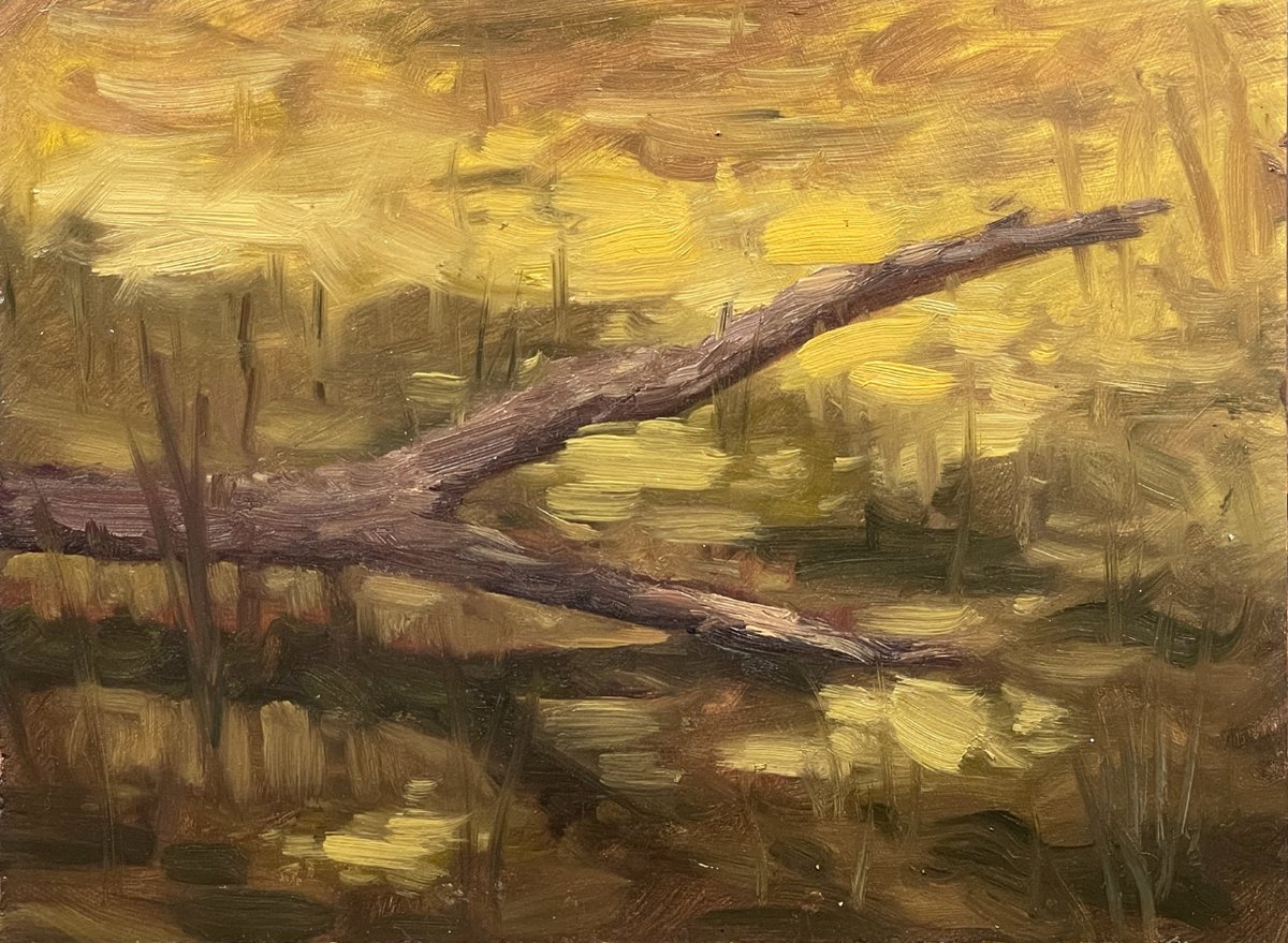 Love a good log in an algae filled pond.

Like, share, and repost to help me grow!
Thanks

#landscapepainting #landscape #painting #art #oilpainting #artist #contemporaryart #artistsoninstagram #fineart #pleinair #nature #pleinairpainting #landscapeart #landscapes