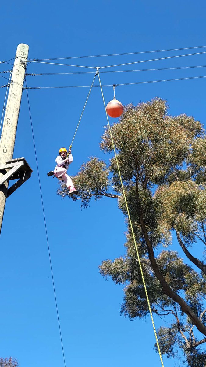 St Bridget's Primary School tweet media