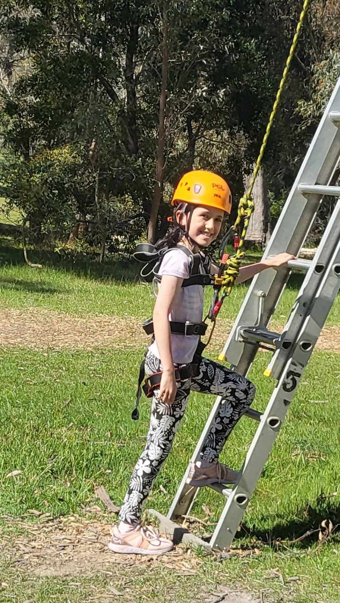 St Bridget's Primary School tweet media