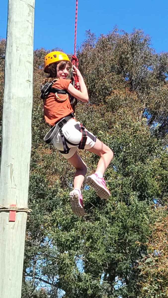 St Bridget's Primary School tweet media