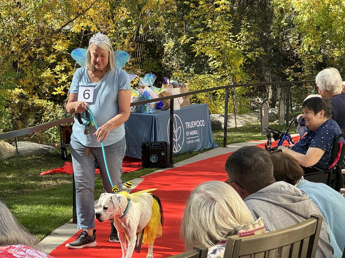 I’m at a senior living center at an event with about 20 therapy dogs — and this squirrel does not care.