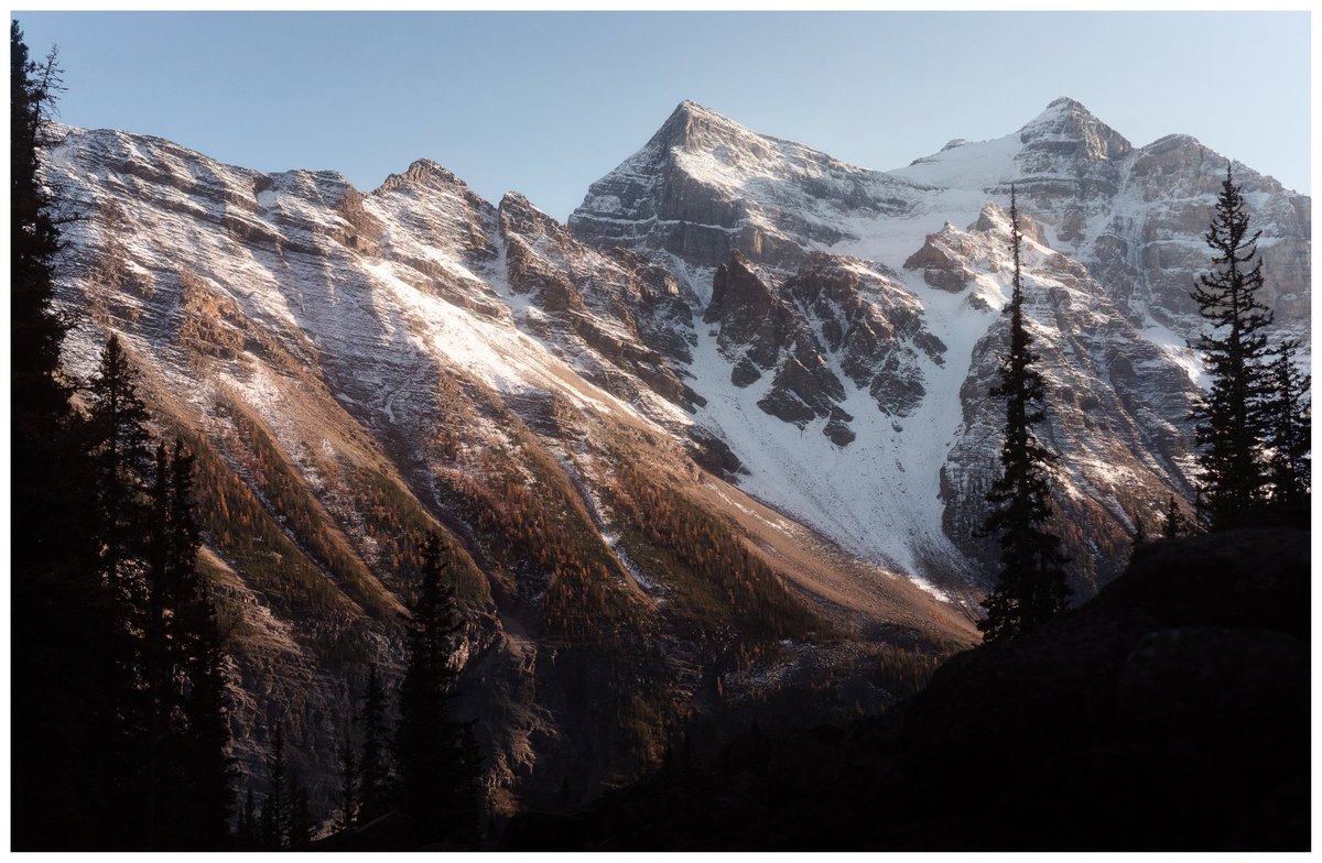 BobbySolace's tweet image. beyond the pines