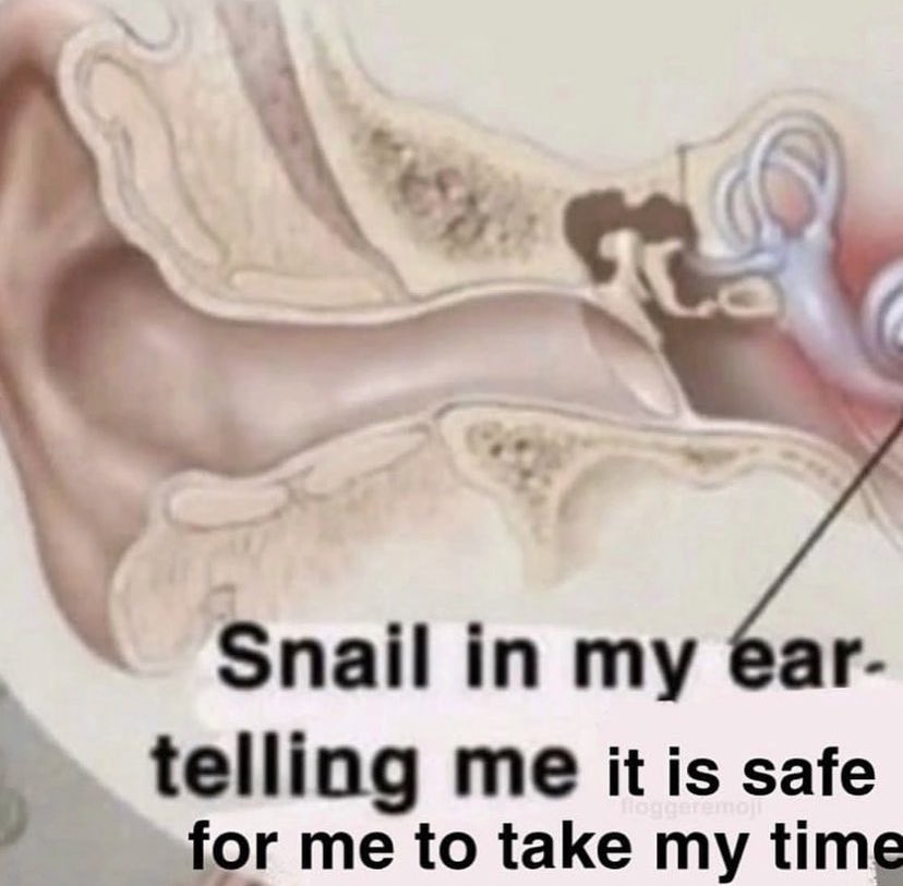 ✧ (@northstardoll) on Twitter photo 