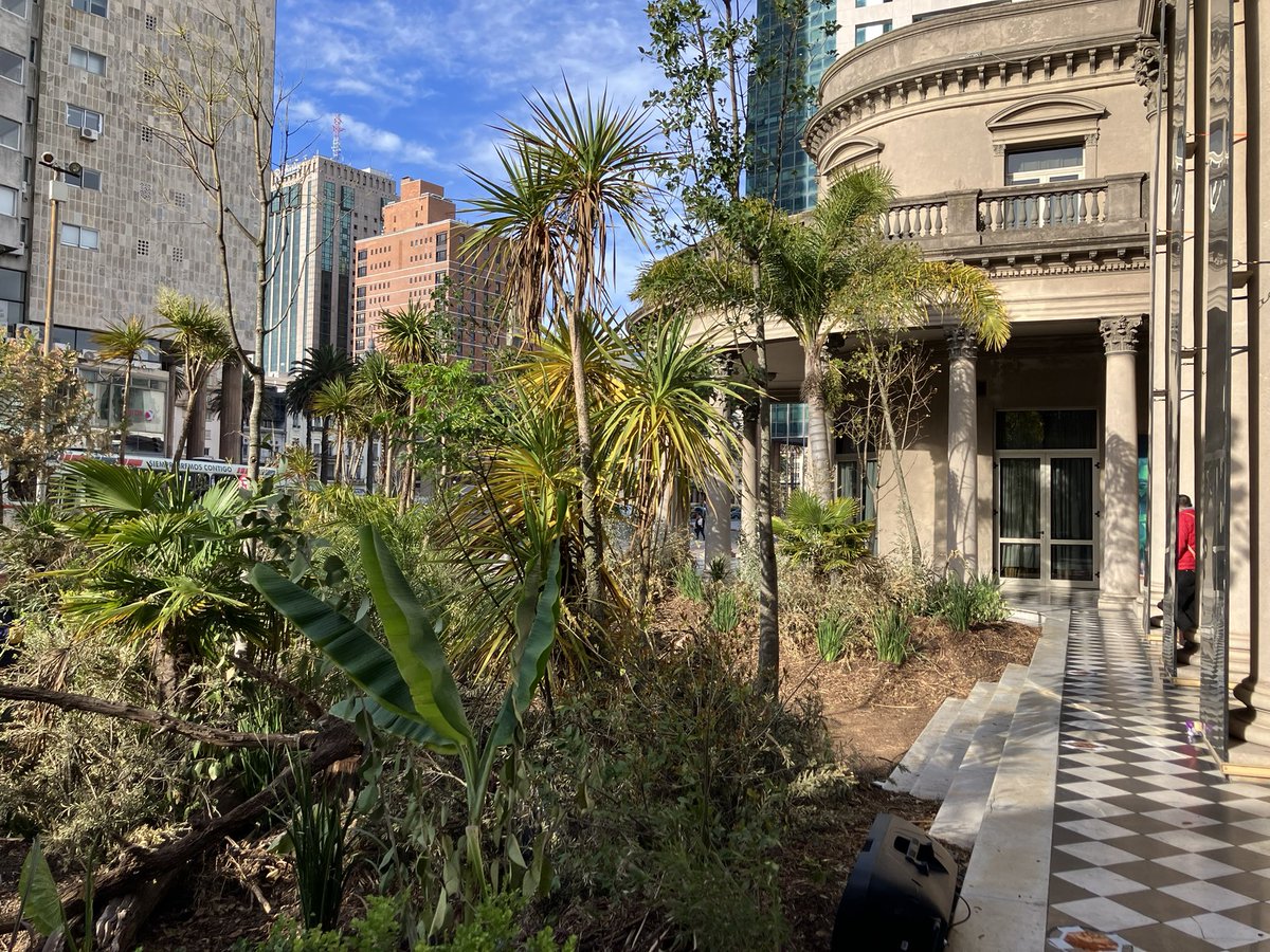 No se si te quedaste sin entradas para #macondo. No te quedes sin hacer una #pausaverde en bosque sensorial de la entrada del <a href="/TeatroSolis/">Teatro Solís</a>.