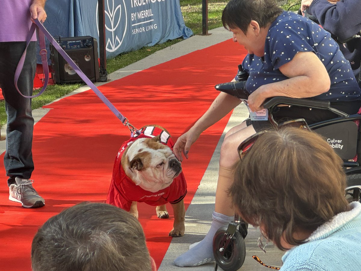Delilah the Bulldog is ready for Halloween and this weekend’s big <a href="/Utah_Football/">Utah Football</a> game.