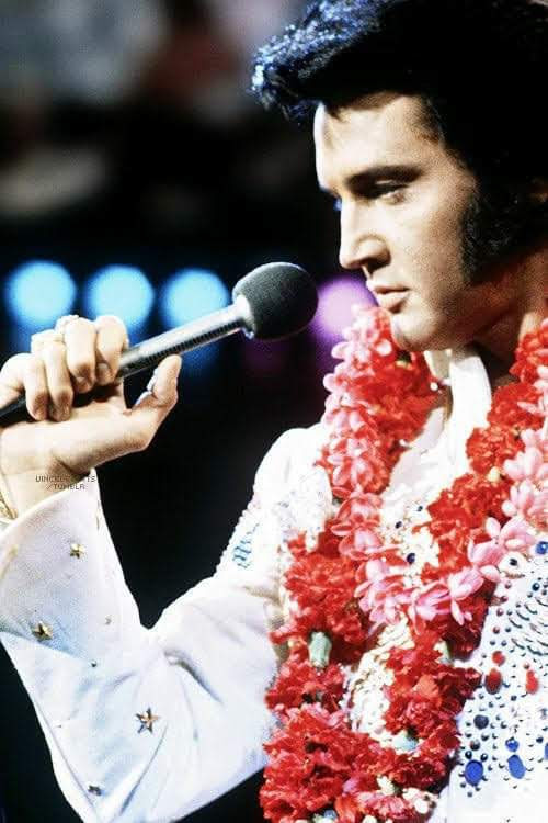 Happy Thursday tomorrow my Elvis family. Have a fabulous day . Sending love 💗💗💗 Aloha from Hawaii (1973) #elvis #elvishistory #elvispresley @elvis2023