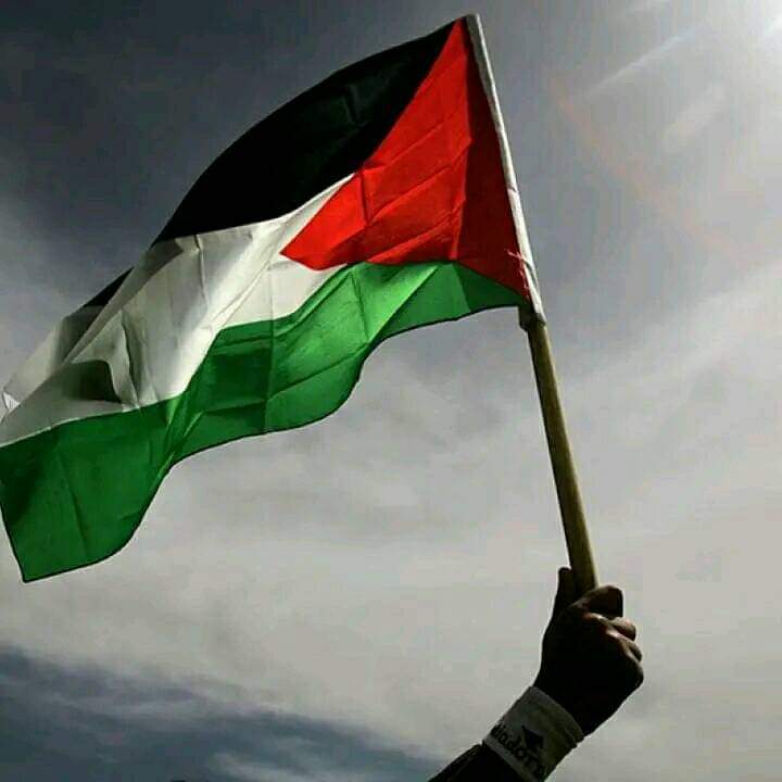 (إِنْ يَنْصُرْكُمُ اللَّهُ فَلَا غَالِبَ لَكُمْ وَإِنْ يَخْذُلْكُمْ فَمَنْ ذَا الَّذِي يَنْصُرُكُمْ مِنْ بَعْدِهِ وَعَلَى اللَّهِ فَلْيَتَوَكَّلِ الْمُؤْمِنُونَ) 
فلسطين حرة عربية 🇵🇸
#FreePalpatine