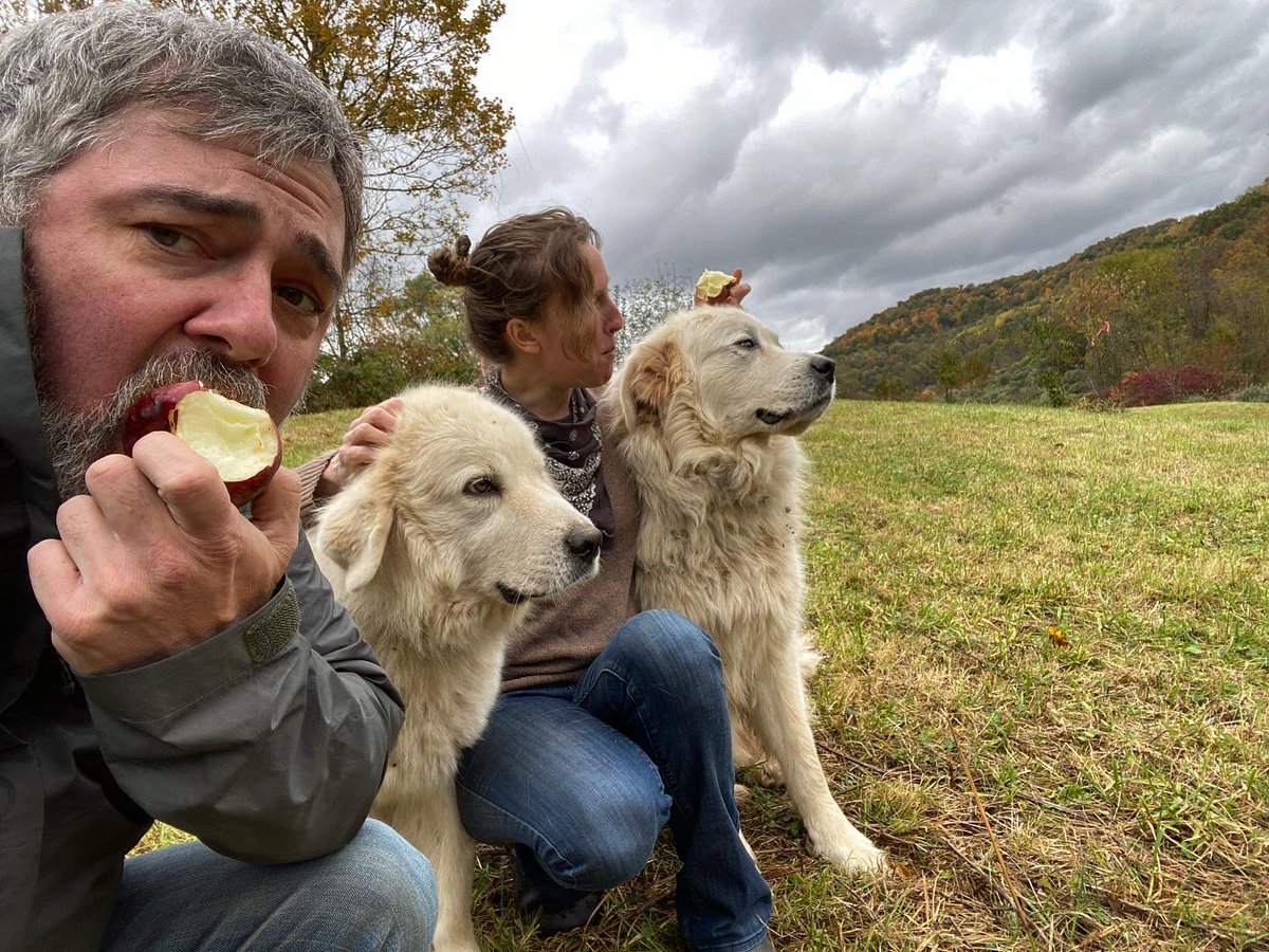 Hey pups, it’s apple season at Lost Creek Farm