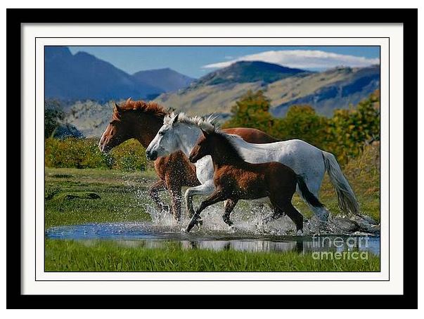 SandiOPhoto's tweet photo. Sandi OReilly #sandioreilly
Horses Running Through Water. Here: https://t.co/Ucetuq1lpg
#horses #equine #horselovers #running #water #stream #mountains #scenic #wallart #decor #AYearForArt #BuyIntoArt See more #art, #prints & on #products Here: https://t.co/LpGe6qQaCR https://t.co/KV6ysNoBI1