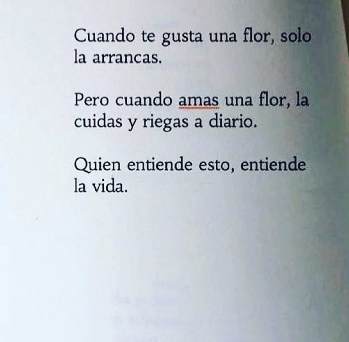 PauloCoelhoDice's tweet image. 