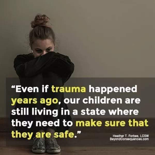 When our young people have experienced toxic stress over an extended period of time,their brains and nervous systems are continually scanning the environment for what is safe and what is dangerous. Hyperarousal keeps them in a constant state of stress.🧠🌱
