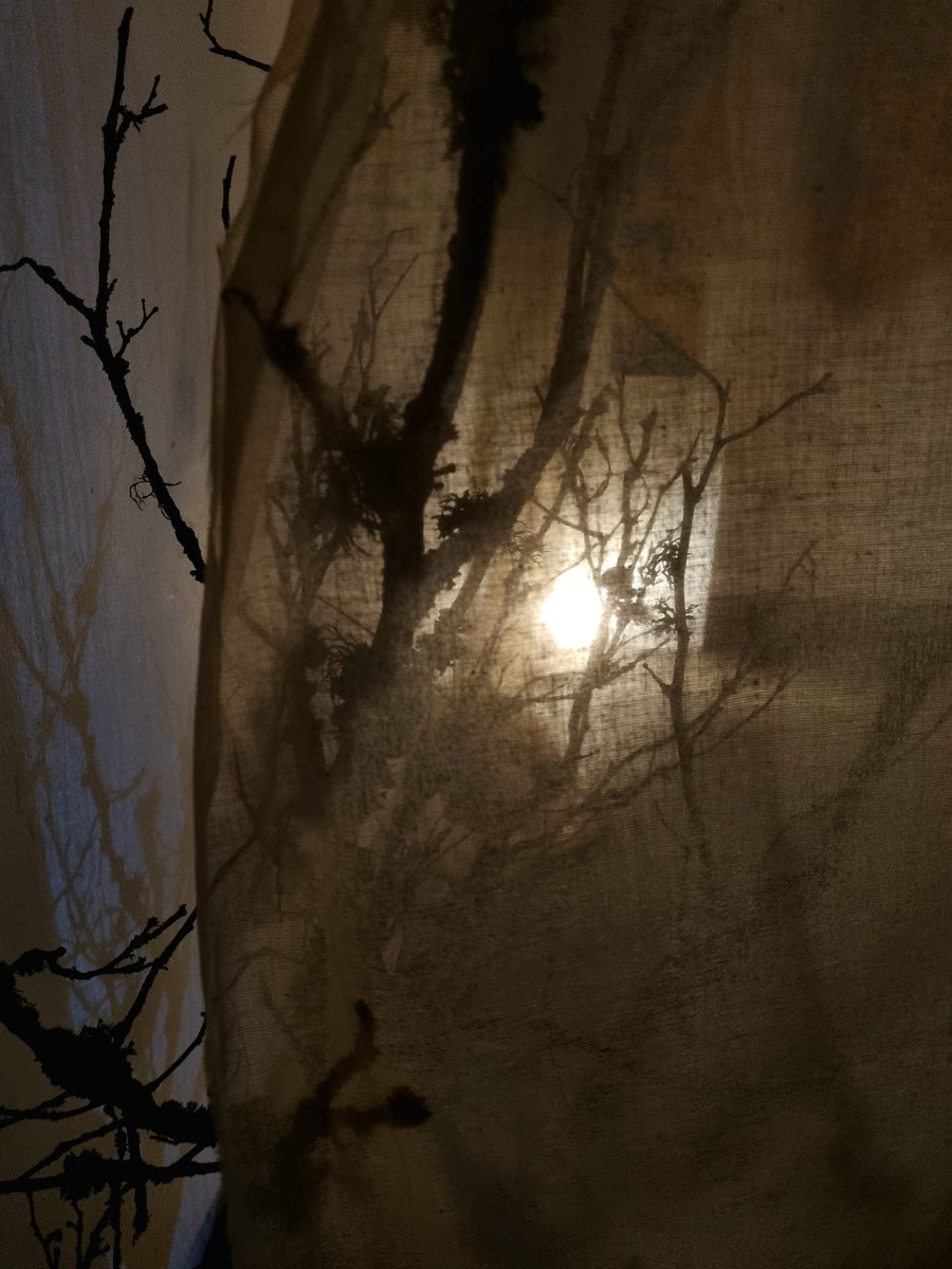 Hardiman's Galway tweet media