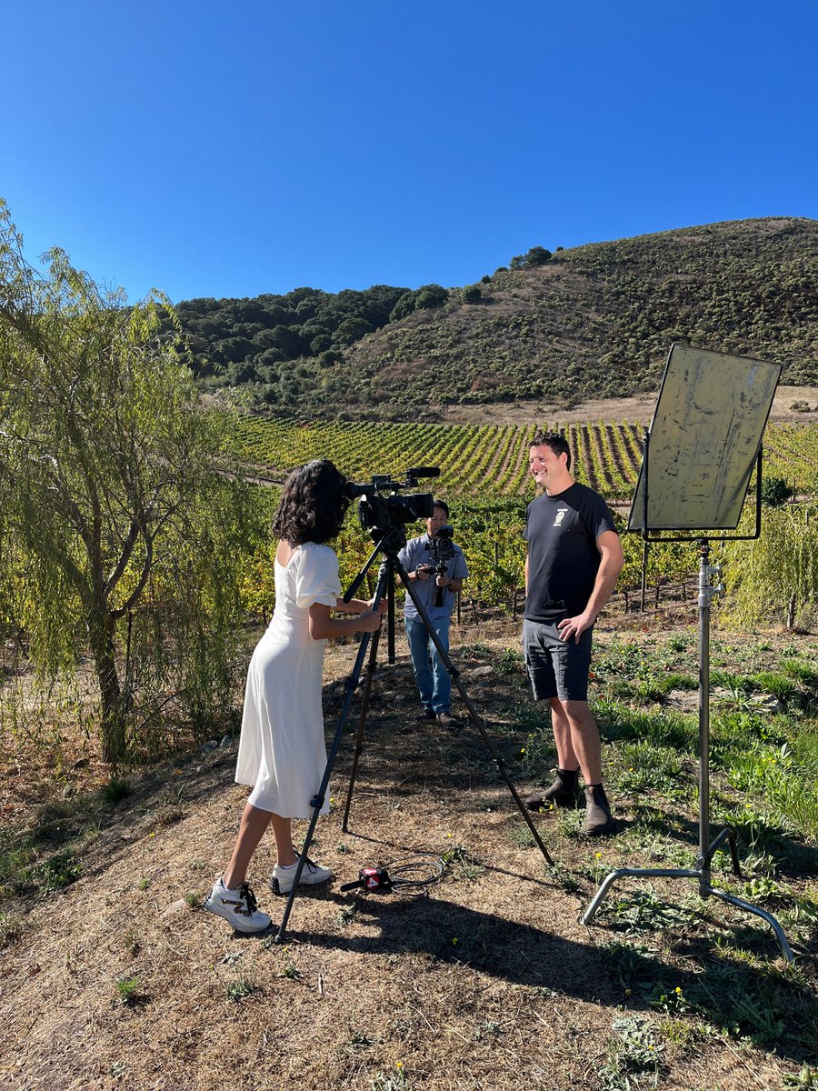 Schug Winery tweet media