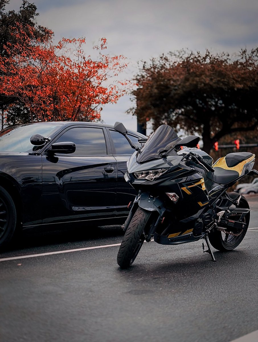 Dubs (@TopDub_) / Posts / X