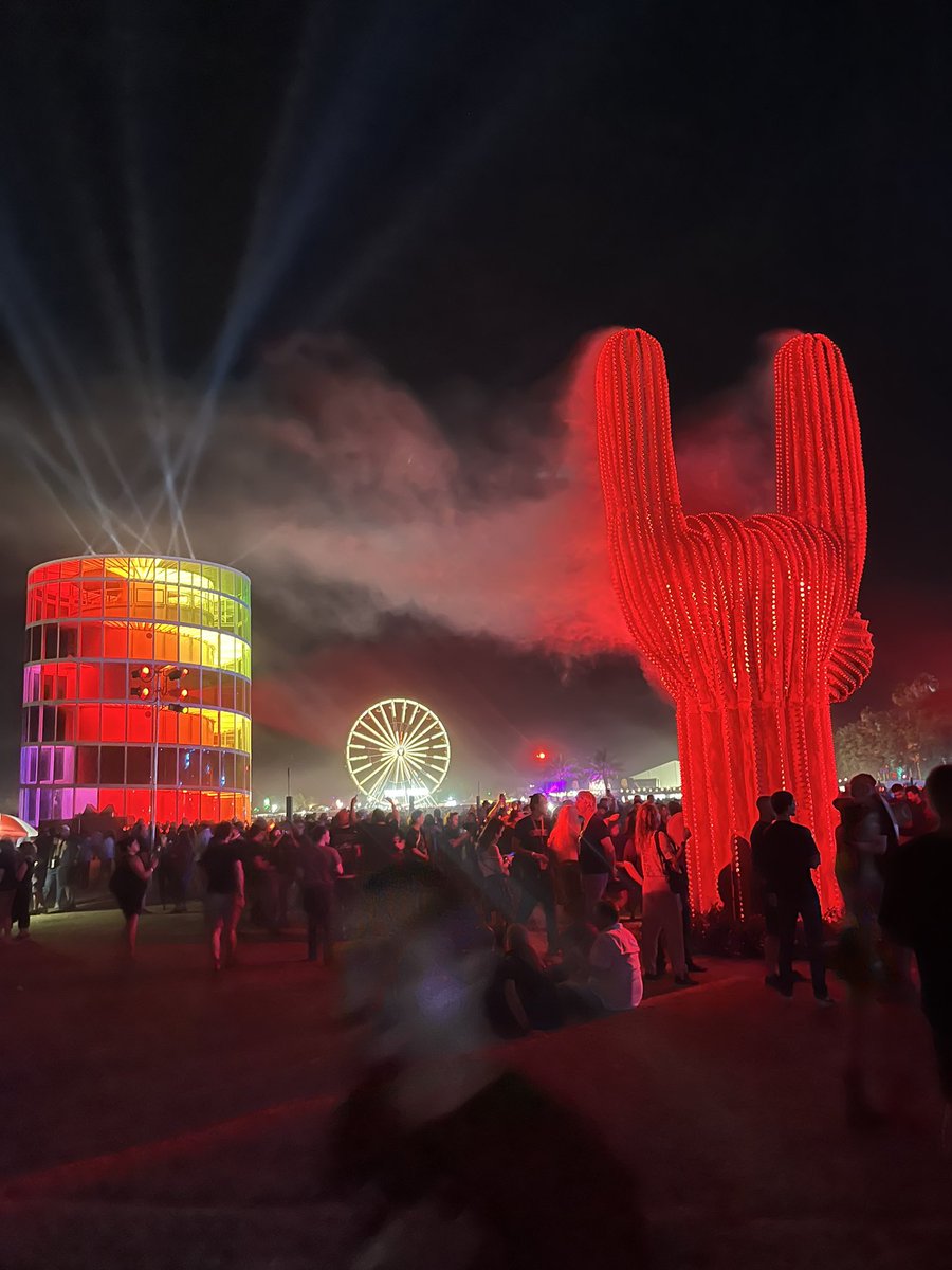 Recently! In Palm String!
.
.
.
#festival