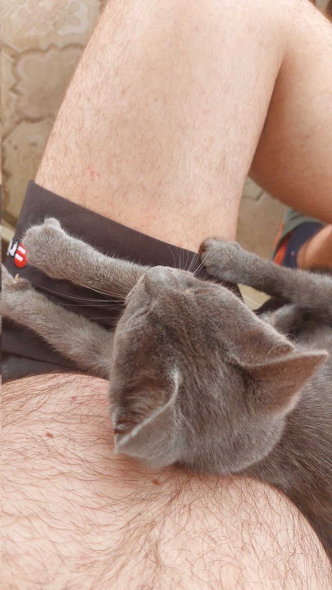 Котячий релакс осіннім днем 😻

#кіт #pet #gato #chat #relax