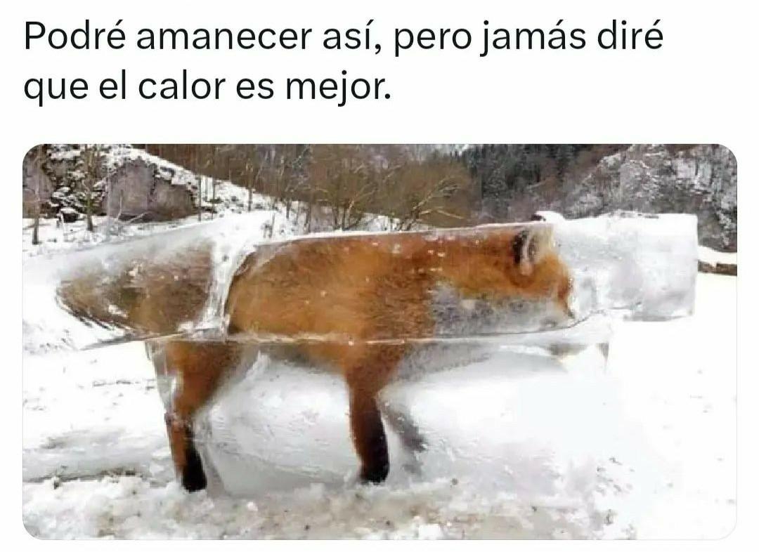 tonysilva233's tweet photo. Nunca! 🙂 Siempre #TeamFrio ❄️ https://t.co/66PpvI7i6E