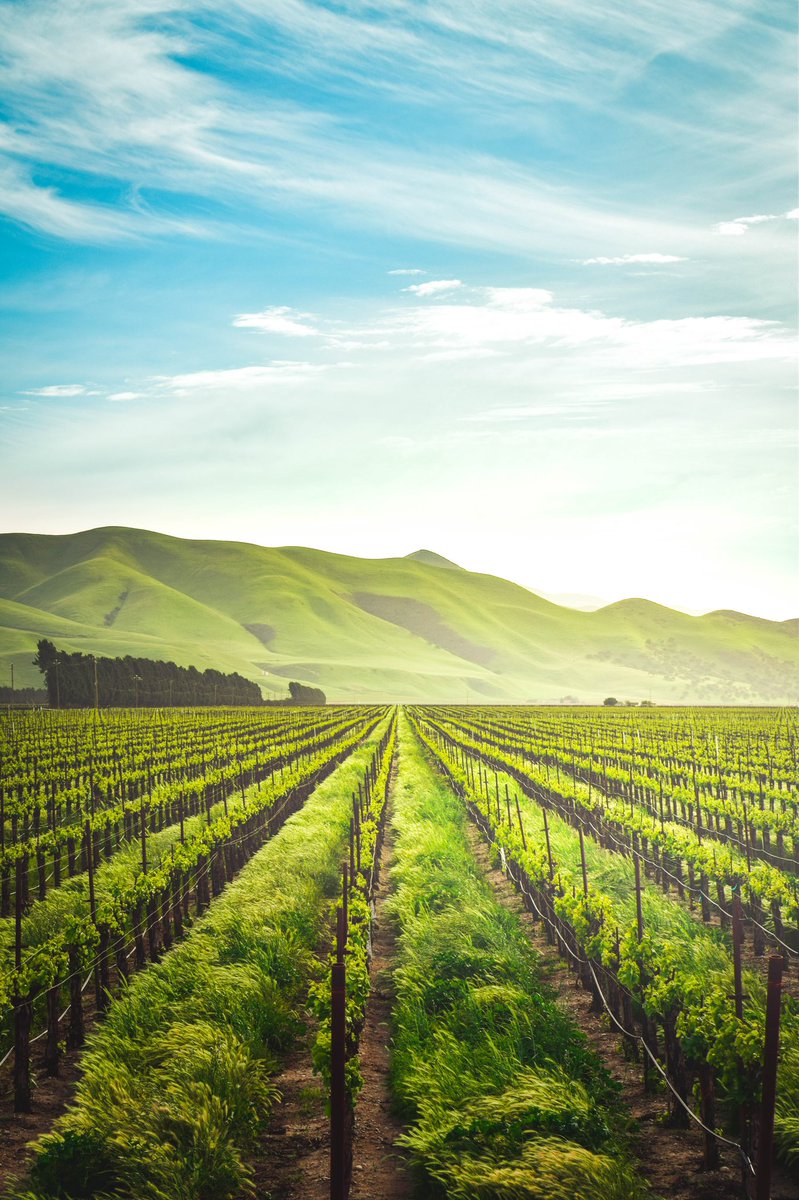 What is the top wine country in the world?