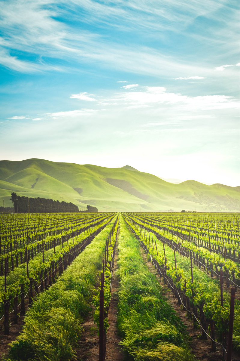 archi_tradition's tweet photo. What is the top wine country in the world? https://t.co/bNwMuayc1C