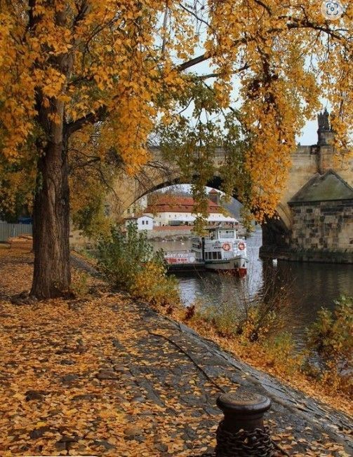 shewearprada's tweet photo. October walks ⛅🍂☕ https://t.co/QiAW30gx3r