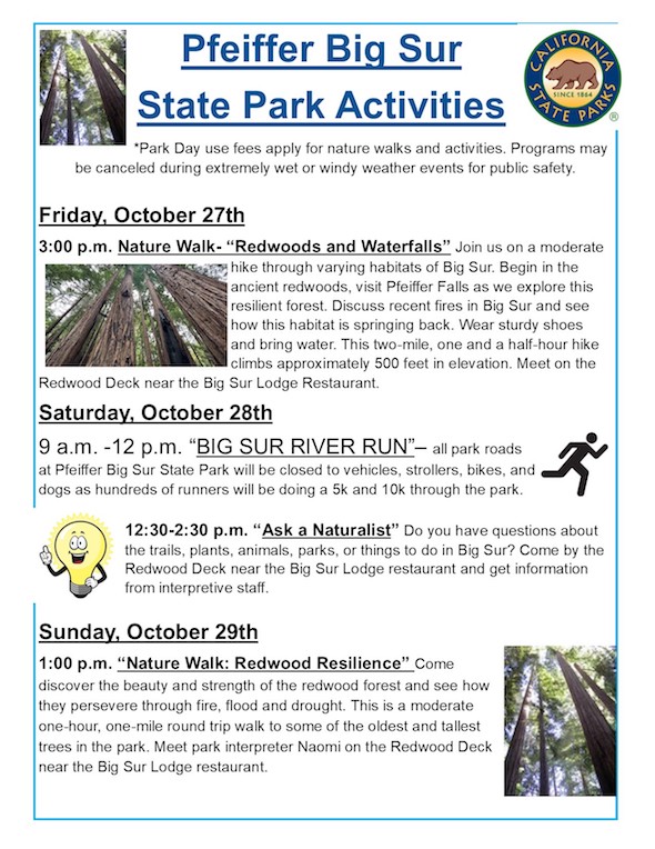 Pfeiffer Big Sur State Park Family Activities