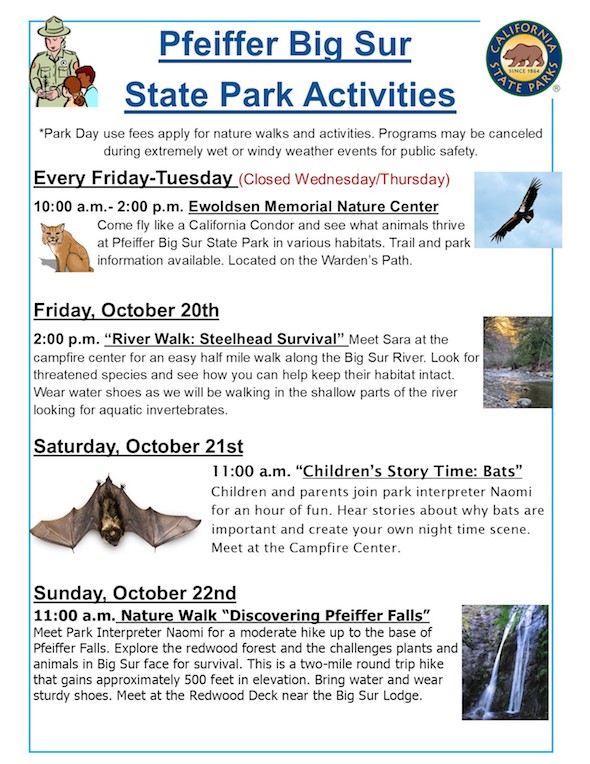 Big Sur Chamber of Commerce tweet media
