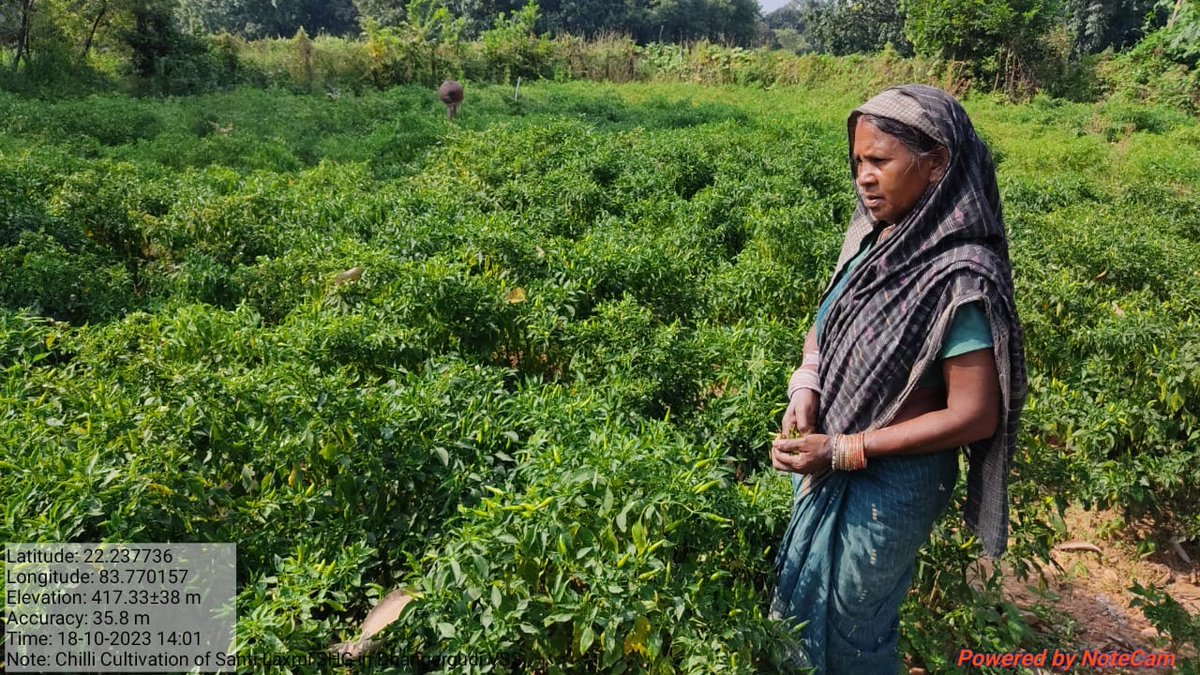 DfoSundargarh's tweet image. Chilli &amp;amp; Brinjal cultivation done by ShantiLaxmi SHG using Revolving Fund under #OFSDP-II in 0.5 Ac in Dhangergudi VSS under Lephripara FMU, Sundargarh DMU.
#Convergence
@CMO_Odisha @MoSarkar5T @ForestDeptt @pccfodisha @DMSundargarh  @pradeepmirase @SATTVIC_SOUL @SoumyaMarineWL