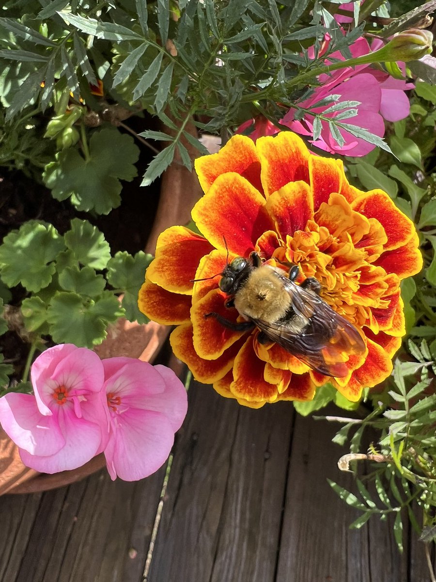 Cloud Reporter tweet media