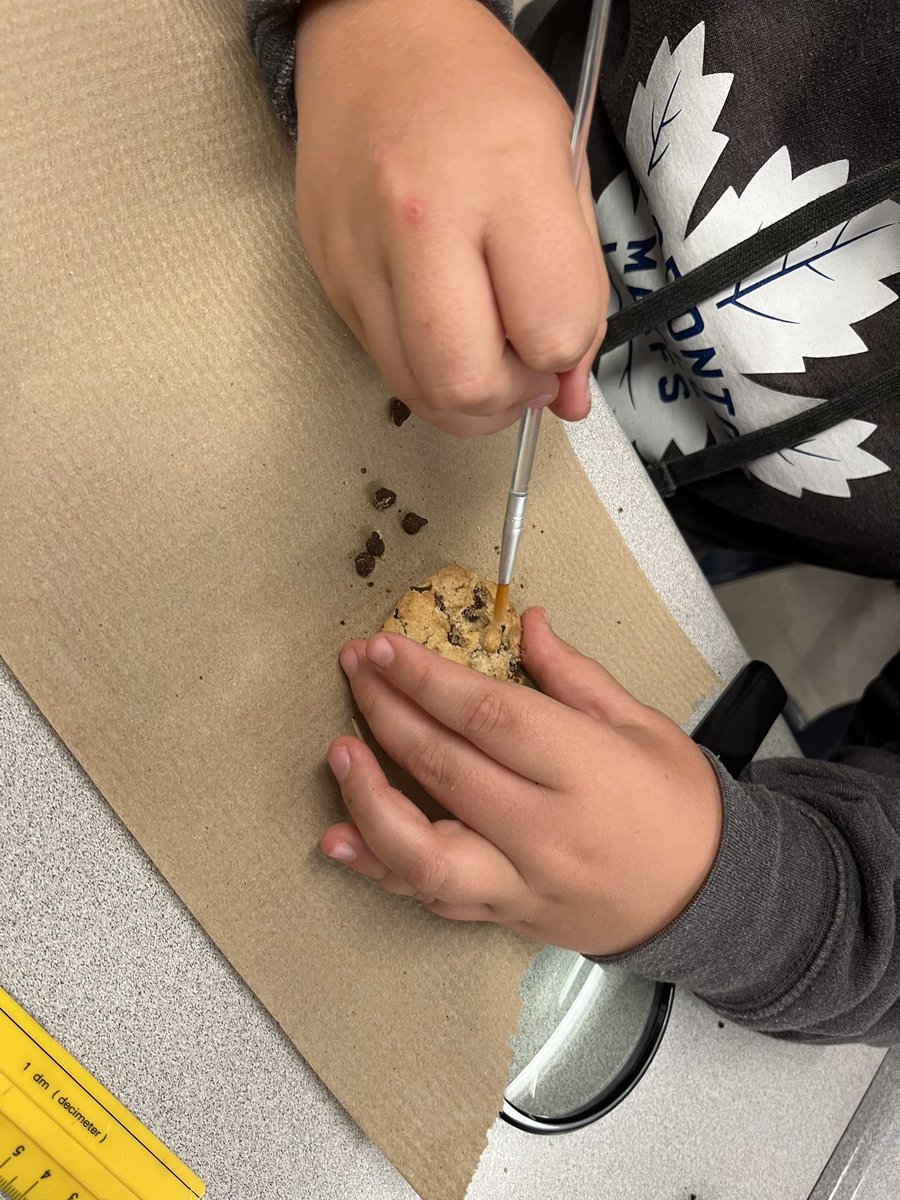 MrBrandreth's tweet photo. Today we are palaeontologists and are digging for “fossils”. A fun STEM activity. Also tasty. 😆 https://t.co/F8G5g57urO