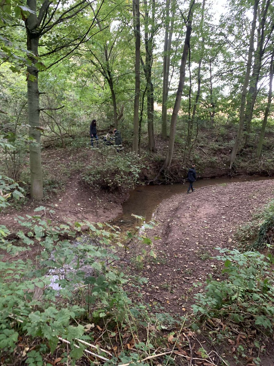 NTSUConSoc's tweet photo. Thank you to everyone that came on the camera trap set up today!

Hope to see you all next week for the pick up and review, hoping we'll catch some cool animals! https://t.co/Zqvav43sp0
