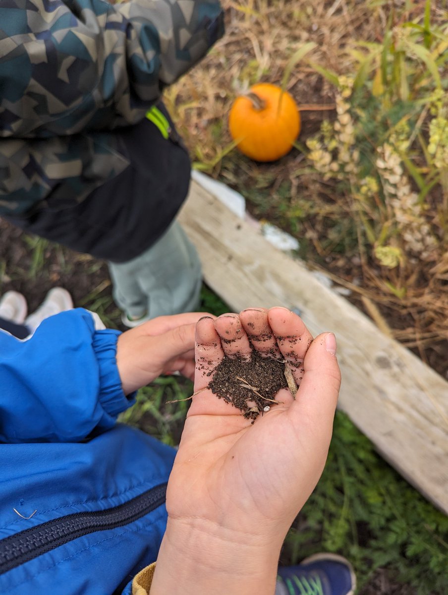 BEN Kinder 4 tweet media