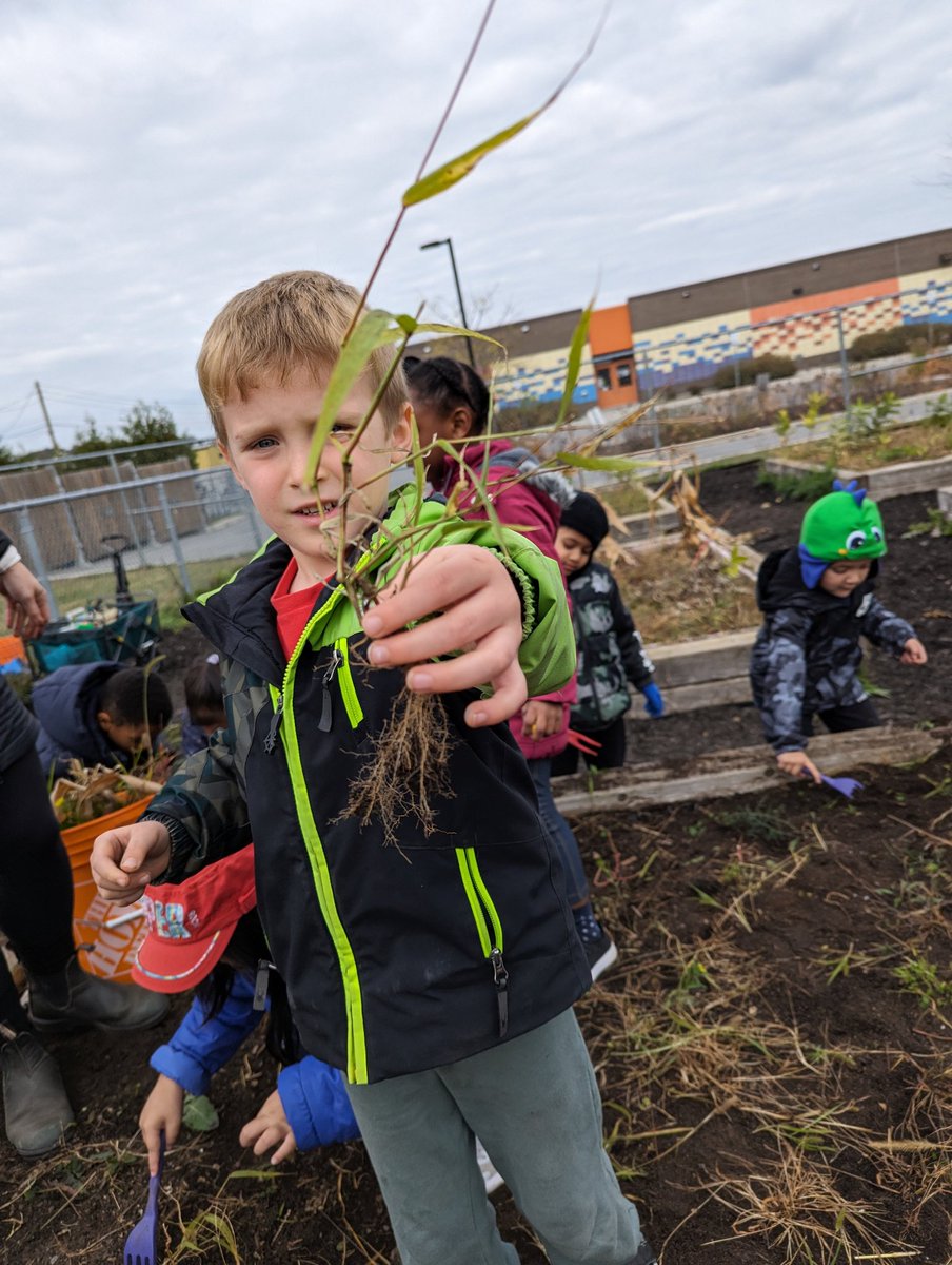 BEN Kinder 4 tweet media