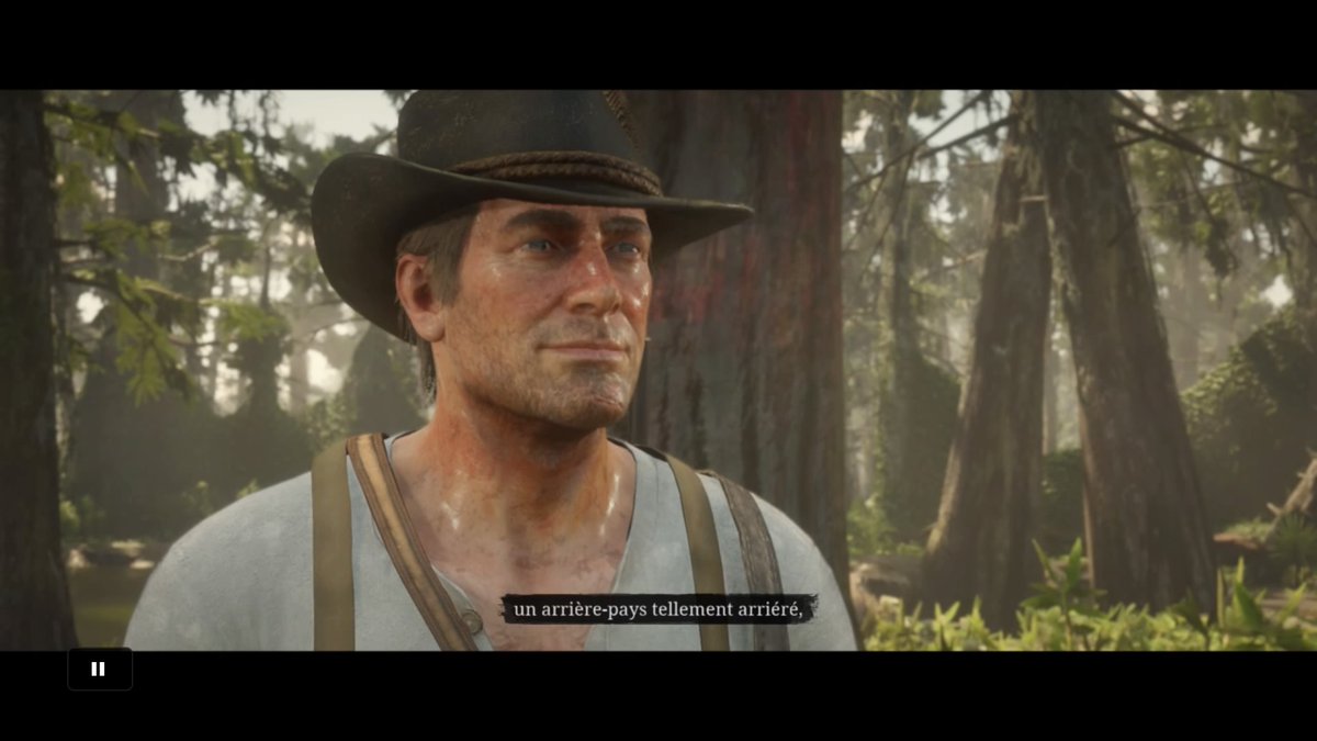 #RedDeadRedemption2 #RDR2 #virtualphotography #ArthurMorgan #PS4share