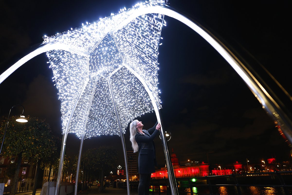 Fáilte Ireland is pleased to partner with <a href="/DubCityCouncil/">Dublin City Council</a>  to deliver an innovative new outdoor sculpture in Dublin’s Docklands as part of our Destination Towns Investment Scheme.  

PULSE by artist <a href="/AlvaGallagher/">Alva Gallagher</a> is an immersive light installation inspired by the unique history