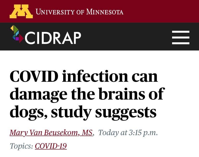 Derek_a_Franks's tweet photo. Now that we know C0VlD is permanently harming our dogs, can we stop spreading it? https://t.co/0HlCq4GJqC