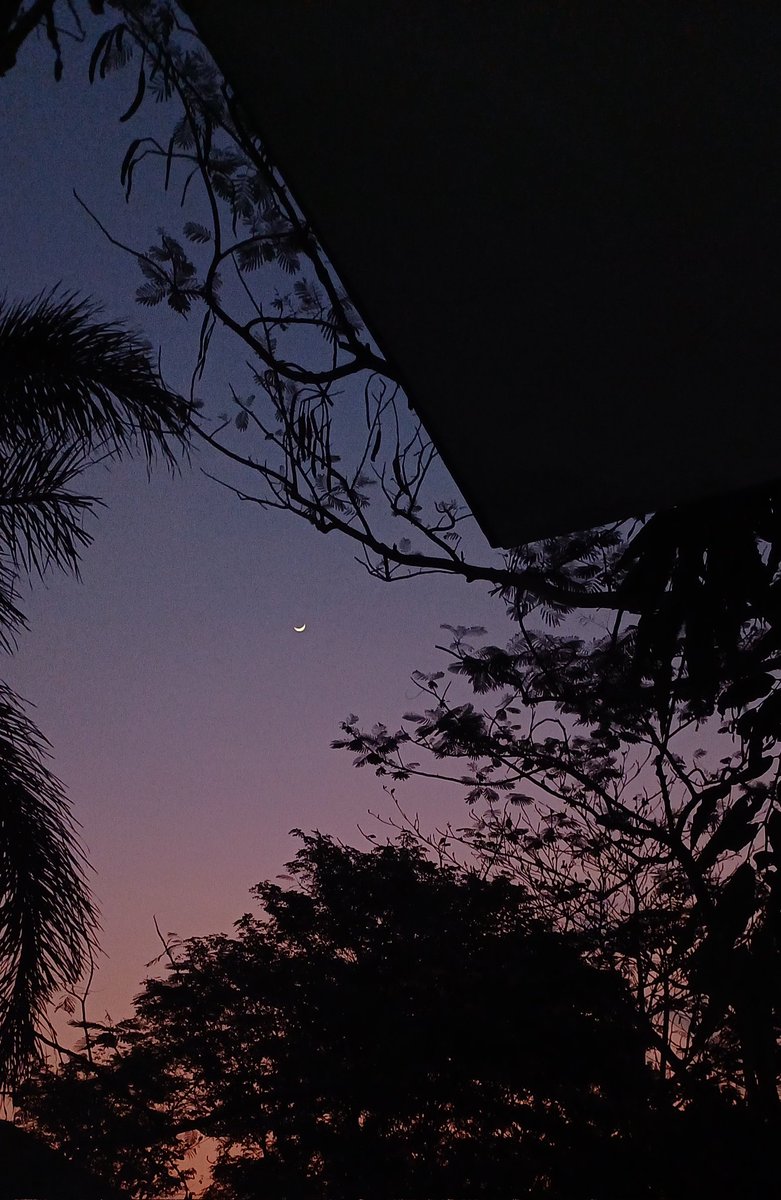 lililalapoo's tweet image. 