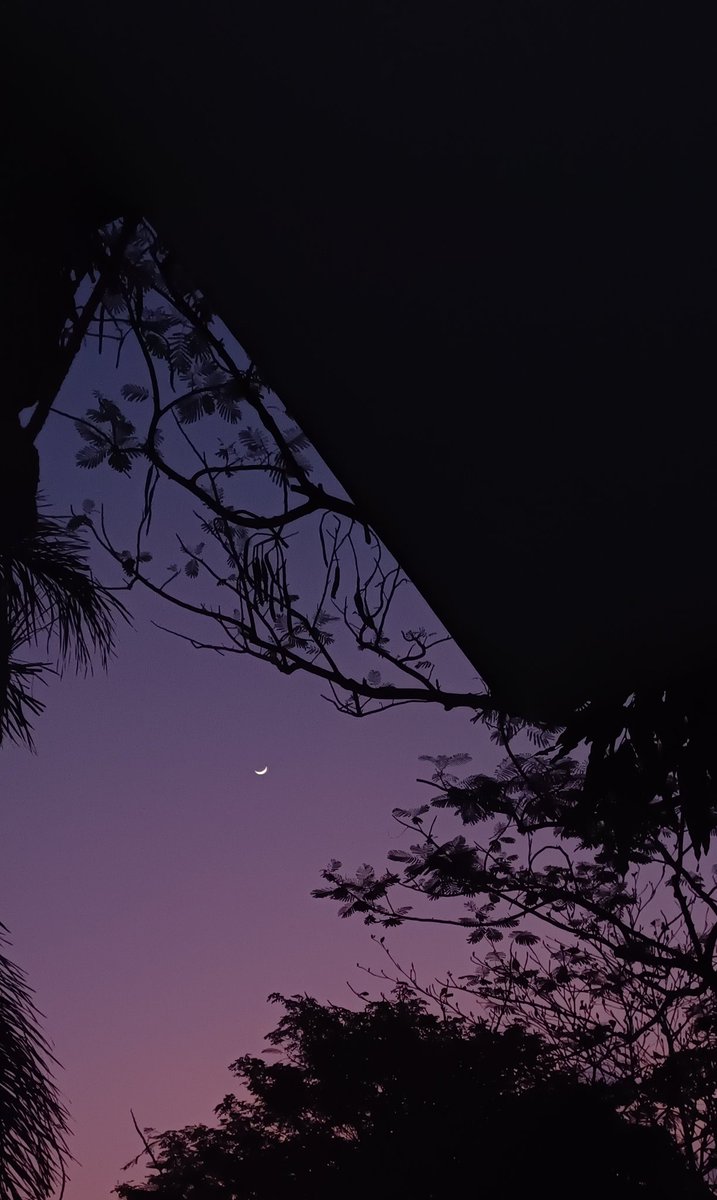 lililalapoo's tweet image. 