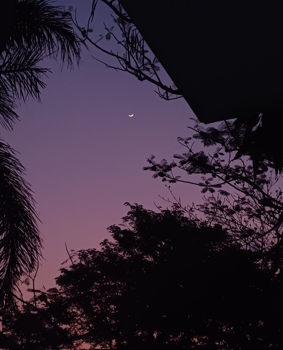 lililalapoo's tweet image. 