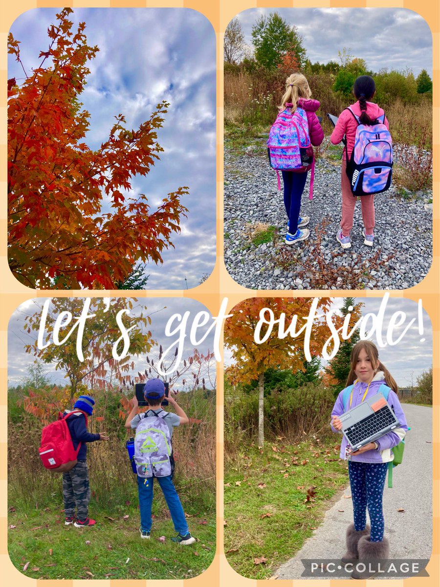 ErinAnthonyOff's tweet photo. There is nothing better than being outside in the fresh air! Loved everything about exploring the beauty of fall! What creative photos these kids got! 📸🍂🍁🦆🐛@Ms_Arnone @AngelsOCSB https://t.co/DRjGDLeqlo
