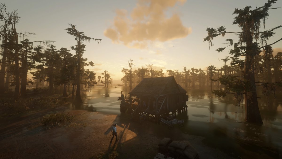 #ArthurMorgan #RedDeadRedemption2 #RDR2 #virtualphotography #PS4share