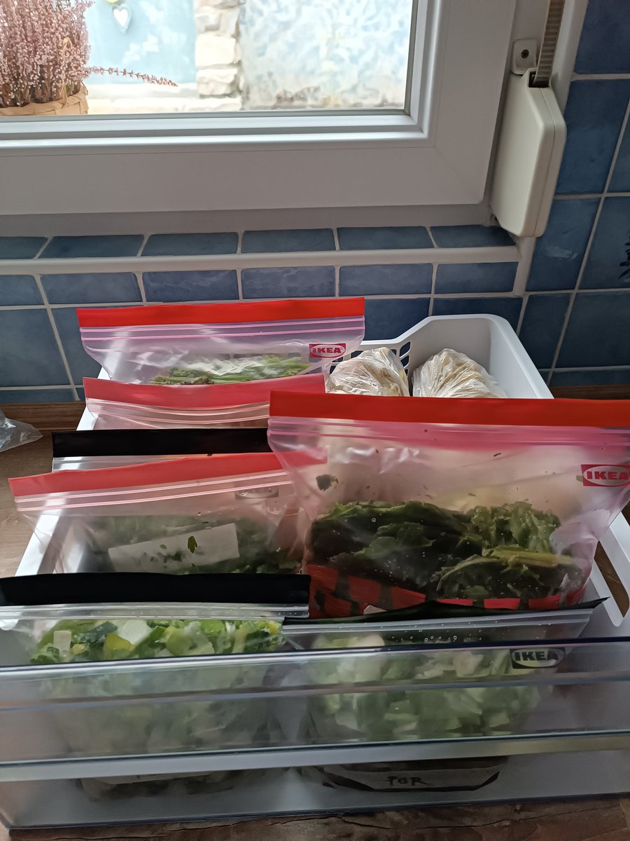 JutranjaK's tweet image. My kind of #nesting 😅🧑‍🍳
Najprej sm odkljukala nekaj dolgo želenih destinacij, zdej sem se spravila v #batchcooking in naseckala vse #veggies za skrinjo. Nastalo je 13 kosil za hude čase. 😅 Pol pa res počas začnem z #babystuff 👶🫶