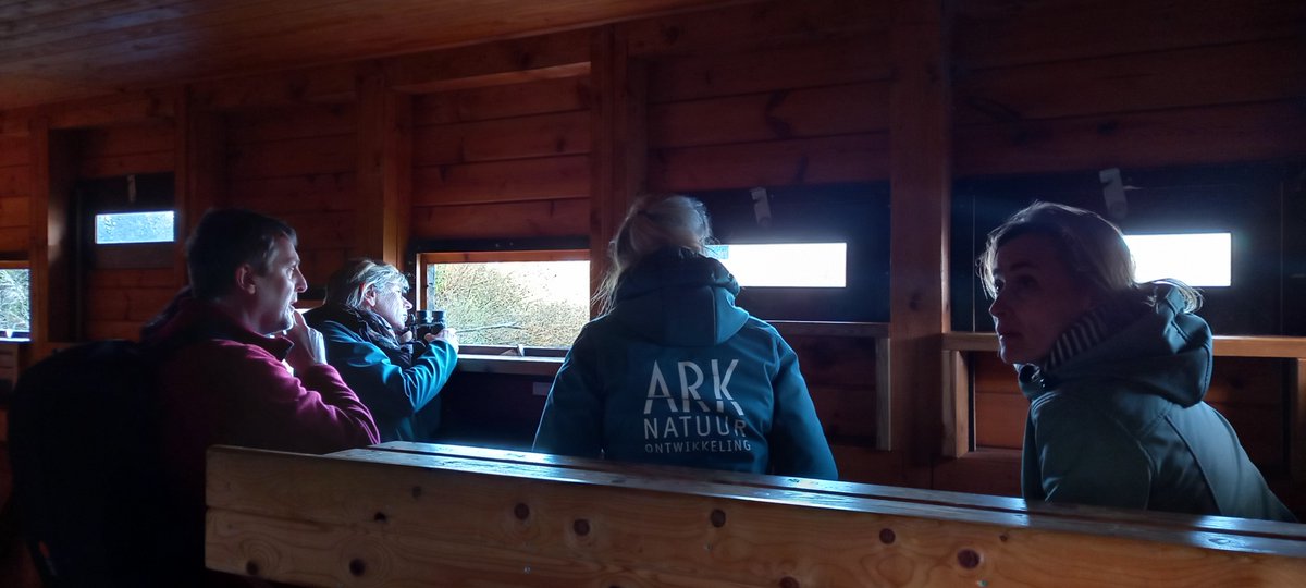 Klimaatzuster's tweet photo. Wil jij je inzetten voor meer wilde natuur? Word lid @ARKNatuur's netwerk Jonge Rewilders. Ma &amp; di was ik in grenspark @KempenBroek om samen met partners te kijken met welke kwesties het netwerk van studenten en jonge professionals aan de slag zou kunnen https://t.co/EZoayTMnk6 https://t.co/ajcCCkus9q