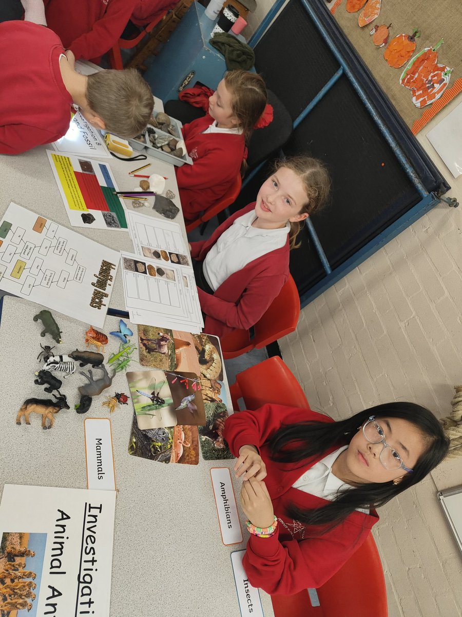 Seven Stars Primary School tweet media