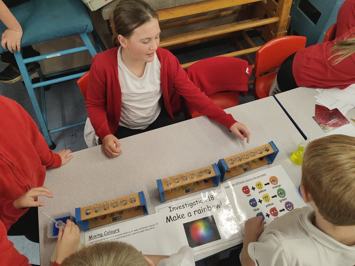 Seven Stars Primary School tweet media