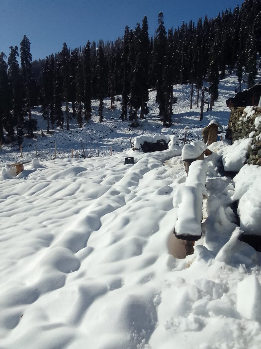 ShabanoBano's tweet photo. Season first Snowfall at Mahu in Ramban Dist.
#Mahuvalley
#Kashmir
#freshsnow
#heavononearth
#diprjk https://t.co/GmgroOvoCB
