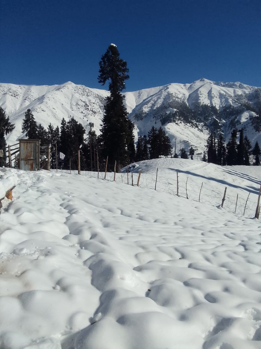 ShabanoBano's tweet photo. Season first Snowfall at Mahu in Ramban Dist.
#Mahuvalley
#Kashmir
#freshsnow
#heavononearth
#diprjk https://t.co/GmgroOvoCB